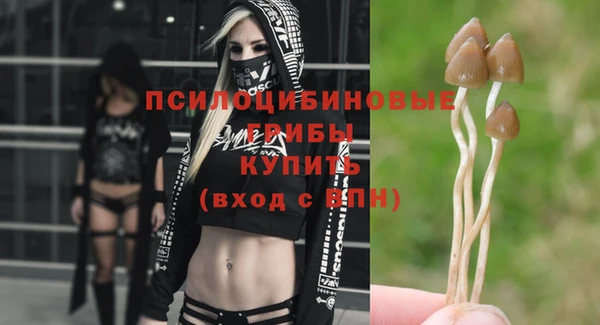 мескалин Вяземский