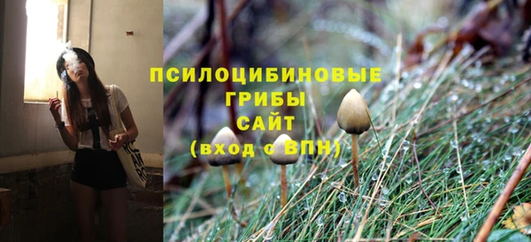 мескалин Вяземский