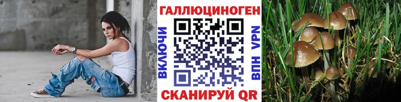 Купить закладки  Людиново  Галлюциногенные грибы Magic Shrooms 
